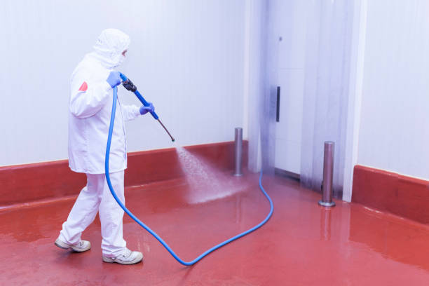 Best Playground Equipment Cleaning  in Whitefish, MT